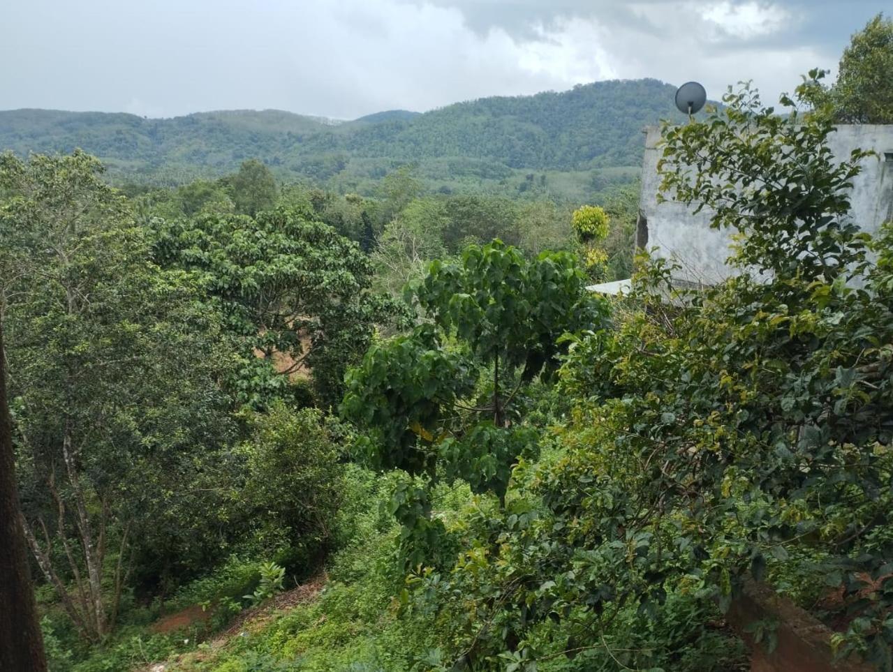Bogala Village Eco Resort Kegalle Εξωτερικό φωτογραφία
